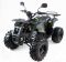 Квадроцикл Motax ATV Grizlik-8 125